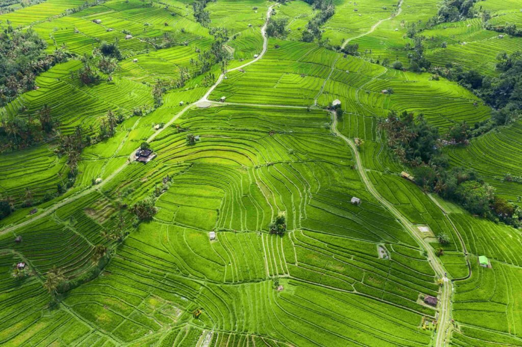 UNESCO Subak rice terrace system included in the Best Bali Tour Packages for cultural experiences.
